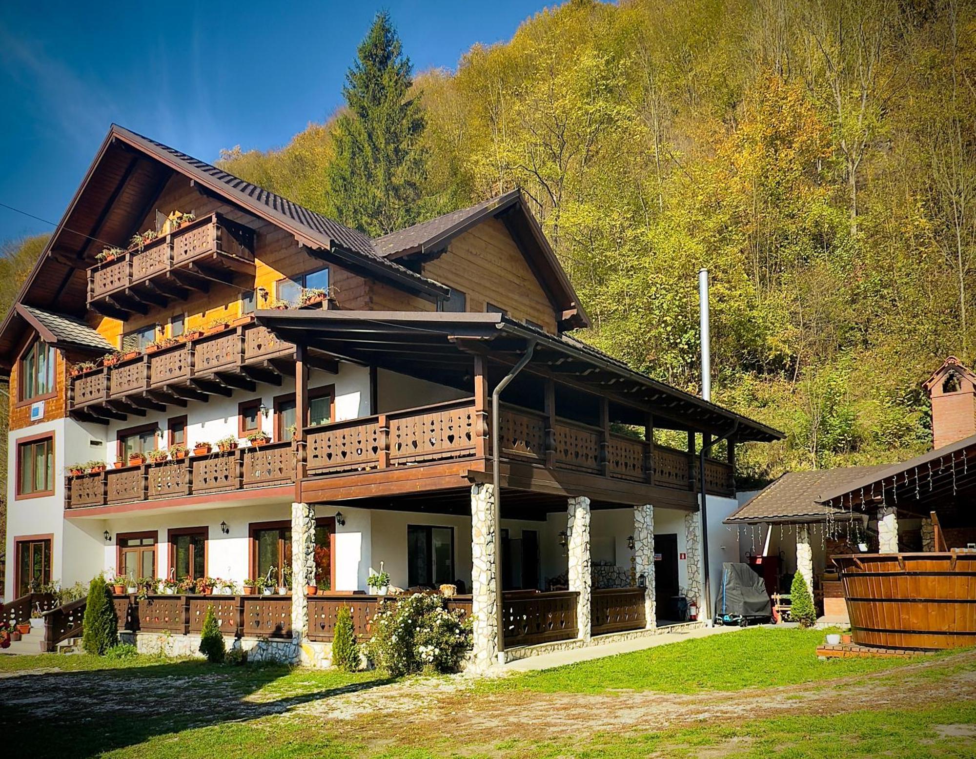 Pensiunea Drumul Iancului Vidra  Exterior foto